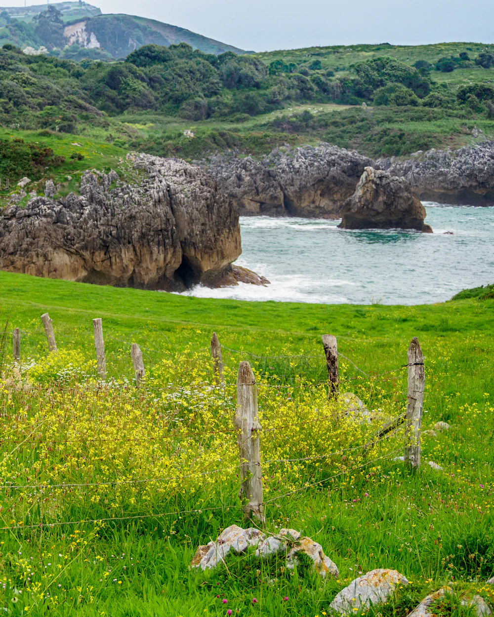 Prado y acantilados junto al mar en Buelna, Asturias