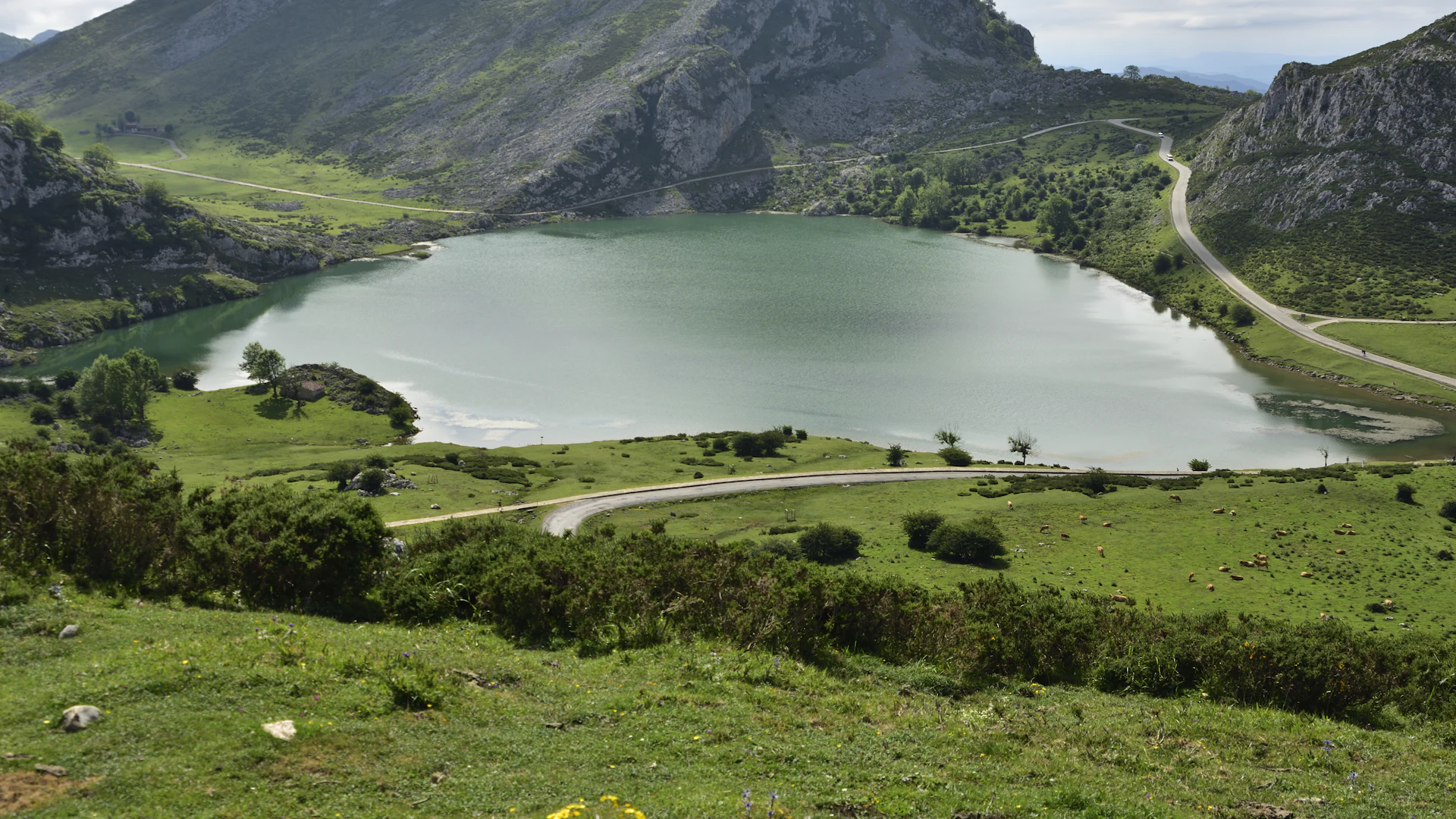 Lago de Enol rodeado de montañas y prados