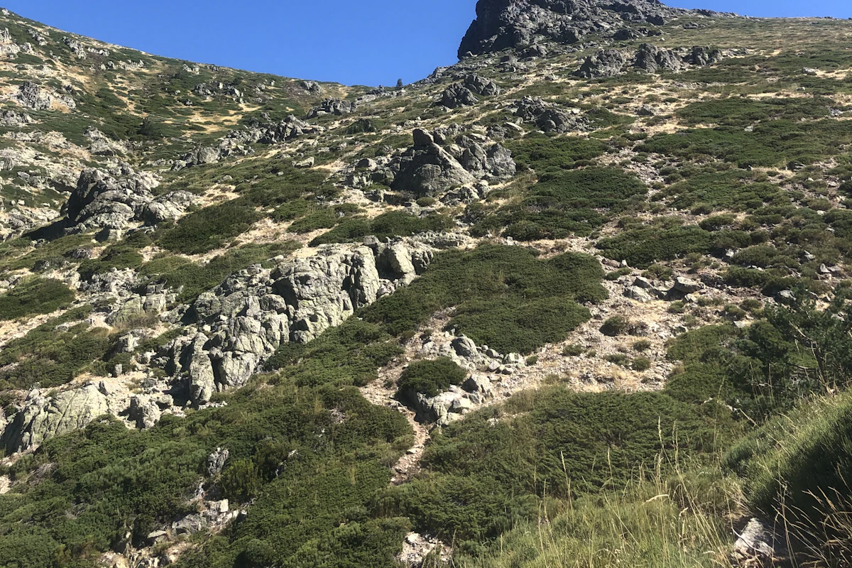 Ladera de monte con matorral y roca en la Sierra de Madrid